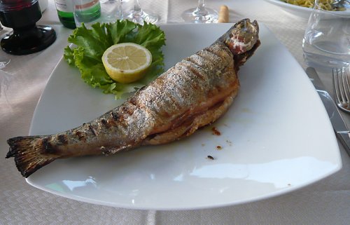 gegrillte Lachsforelle in Salzkruste