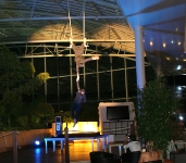 Trapez Show
