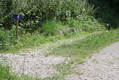 Wo alles mit dem barfuß Wandern anfing Wo alles mit dem barfuß Wandern anfing
