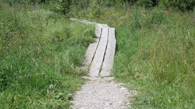 Holzplanken des Barfußwanderwegs Holzplanken des Barfußwanderwegs