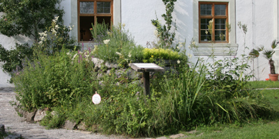 Kräuter-Kunstwerk mit vielen Kräutern Kräuter-Kunstwerk mit vielen Kräutern