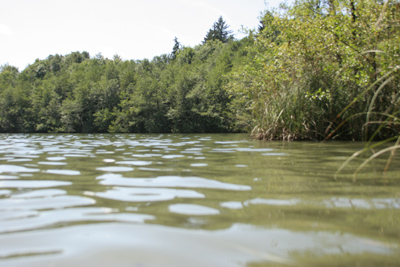 Steinsee im Wasser fotografiert